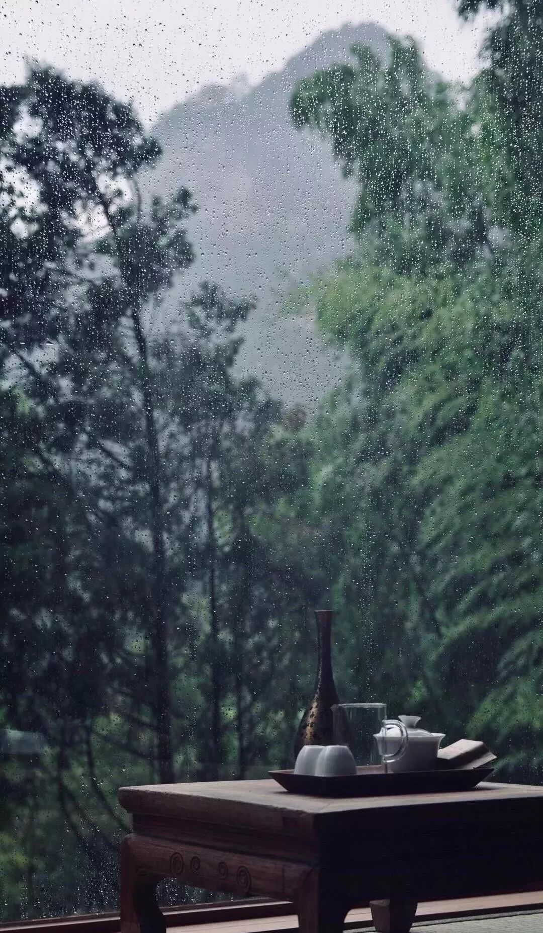 清风徐来，何不饮一盅大理沱茶？