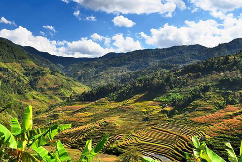 后起之秀昌宁红茶，为什么可以征服世界？