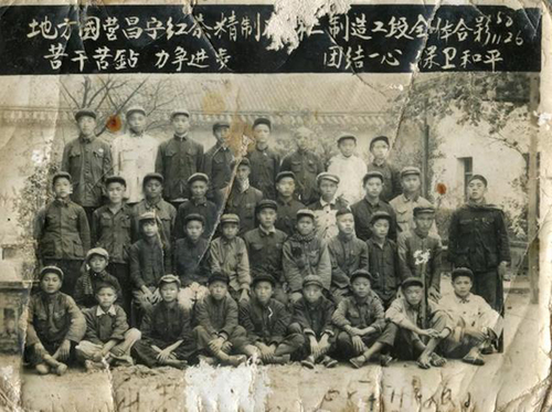 后起之秀昌宁红茶，为什么可以征服世界？