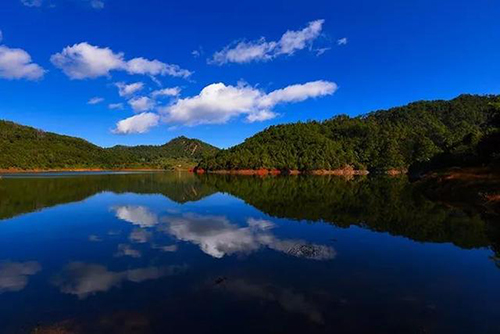 尼诺茶背后，居然有这么多人在撑腰