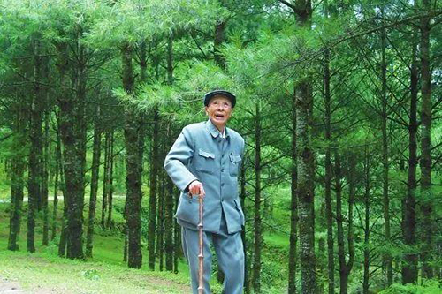 尼诺茶背后，居然有这么多人在撑腰