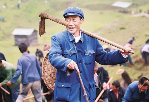 尼诺茶背后，居然有这么多人在撑腰