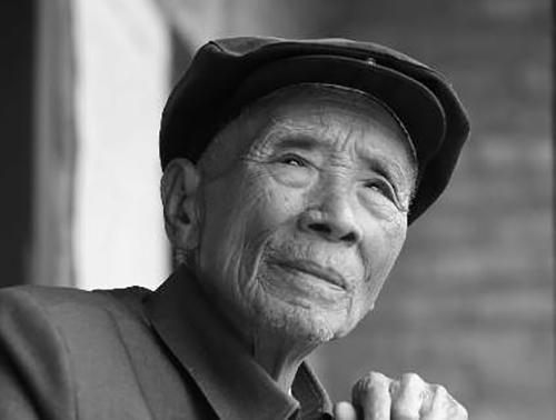 尼诺茶背后，居然有这么多人在撑腰