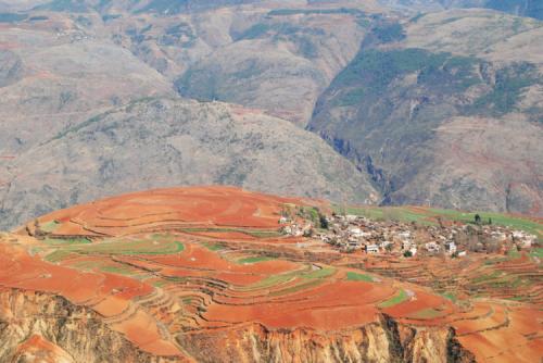 立秋之际，一枕新凉一扇风 