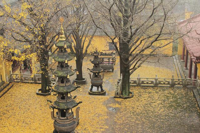 立秋之际，一枕新凉一扇风 