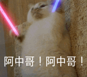 今日舆论:我们的爱豆都是阿中哥! 今日舆论:我们的爱豆都是阿中哥!