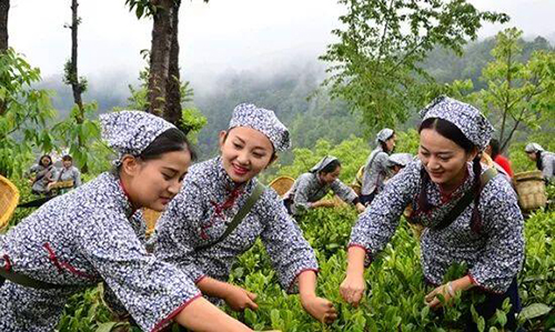 龙的眉毛，是什么味道？