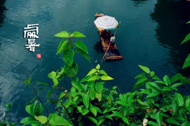 嗷呜,秋老虎出没,还不快看看! 嗷呜,秋老虎出没,还不快看看!