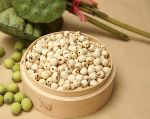 嗷呜,秋老虎出没,还不快看看! 嗷呜,秋老虎出没,还不快看看!