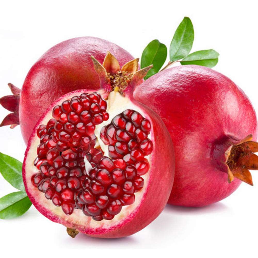 嗷呜,秋老虎出没,还不快看看! 嗷呜,秋老虎出没,还不快看看!