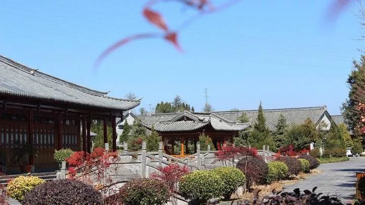 极边乌龙，来自天与地的馈赠