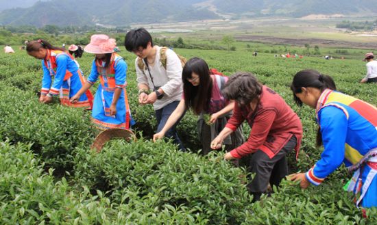 极边乌龙，来自天与地的馈赠