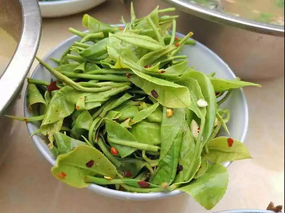 凉拌茶
