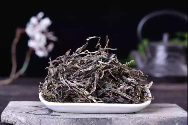 十万一斤的冰岛茶，到底值不值？