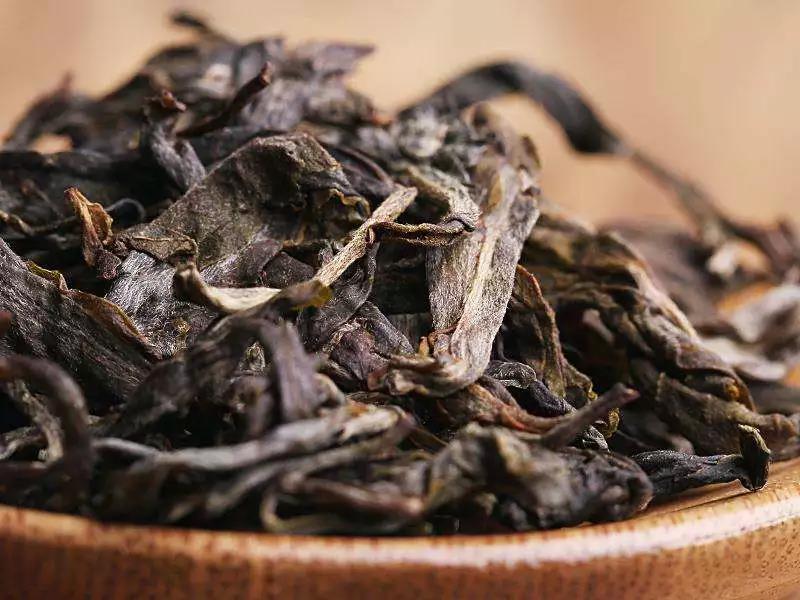 十万一斤的冰岛茶，到底值不值？