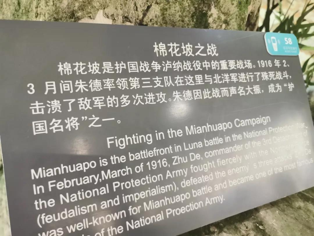 棉花坡之战记录