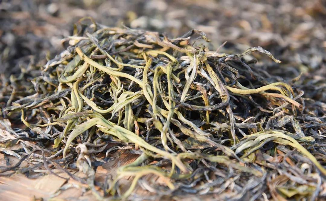 茶王老班章，何以称王？