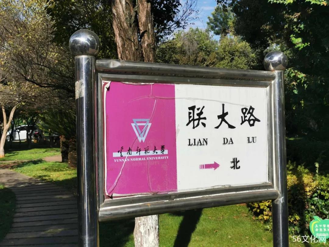云南师范大学主路