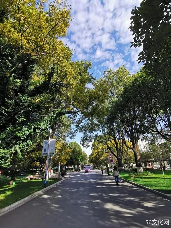 主路风景