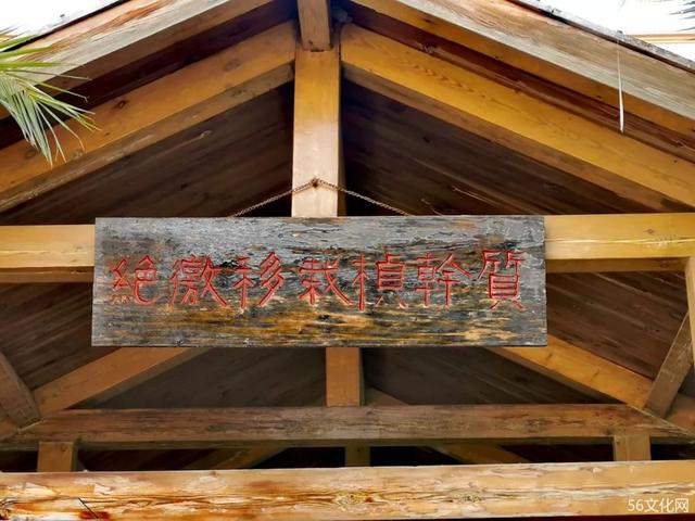 茅草顶宿舍