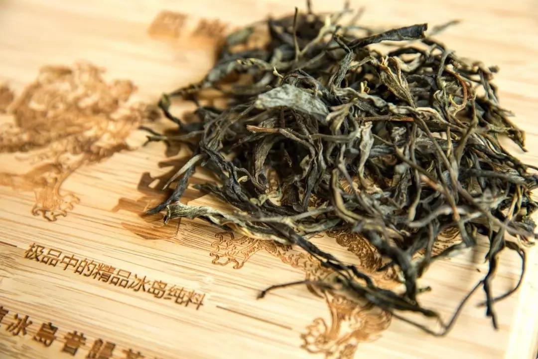 临沧茶王“昔归”的前世今生