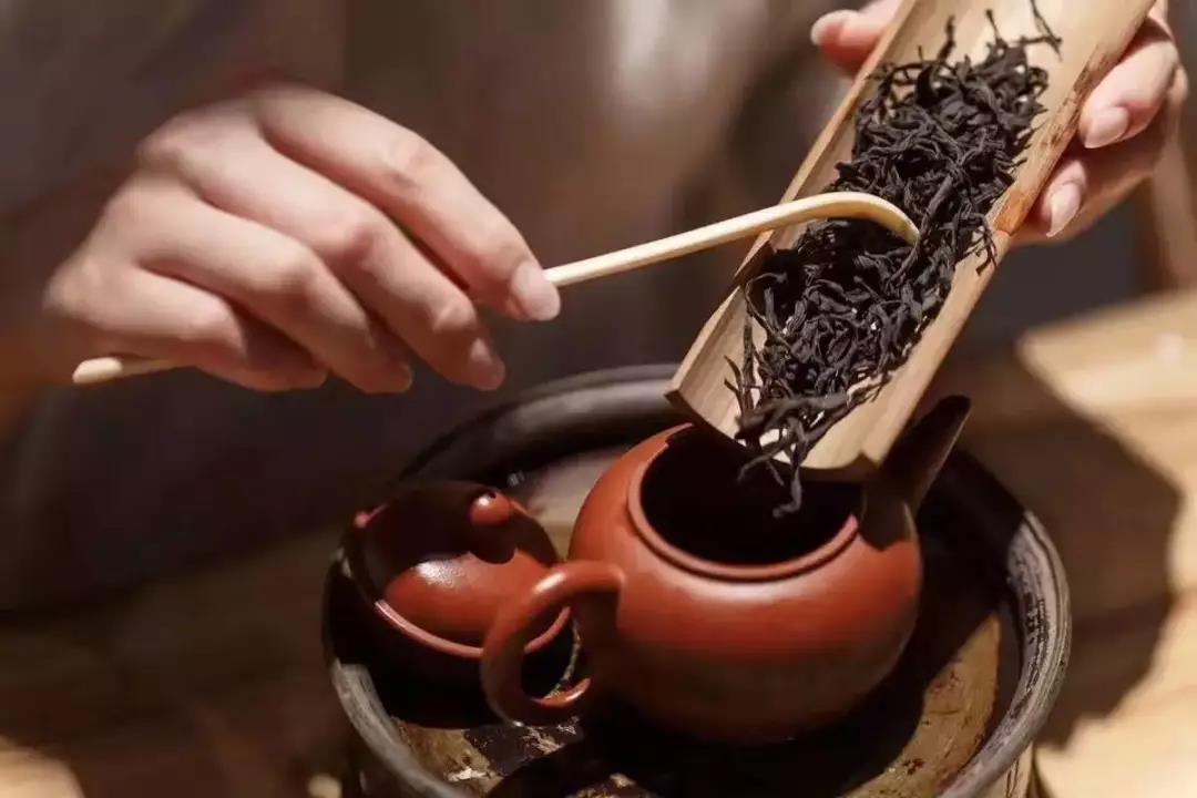 临沧茶王“昔归”的前世今生