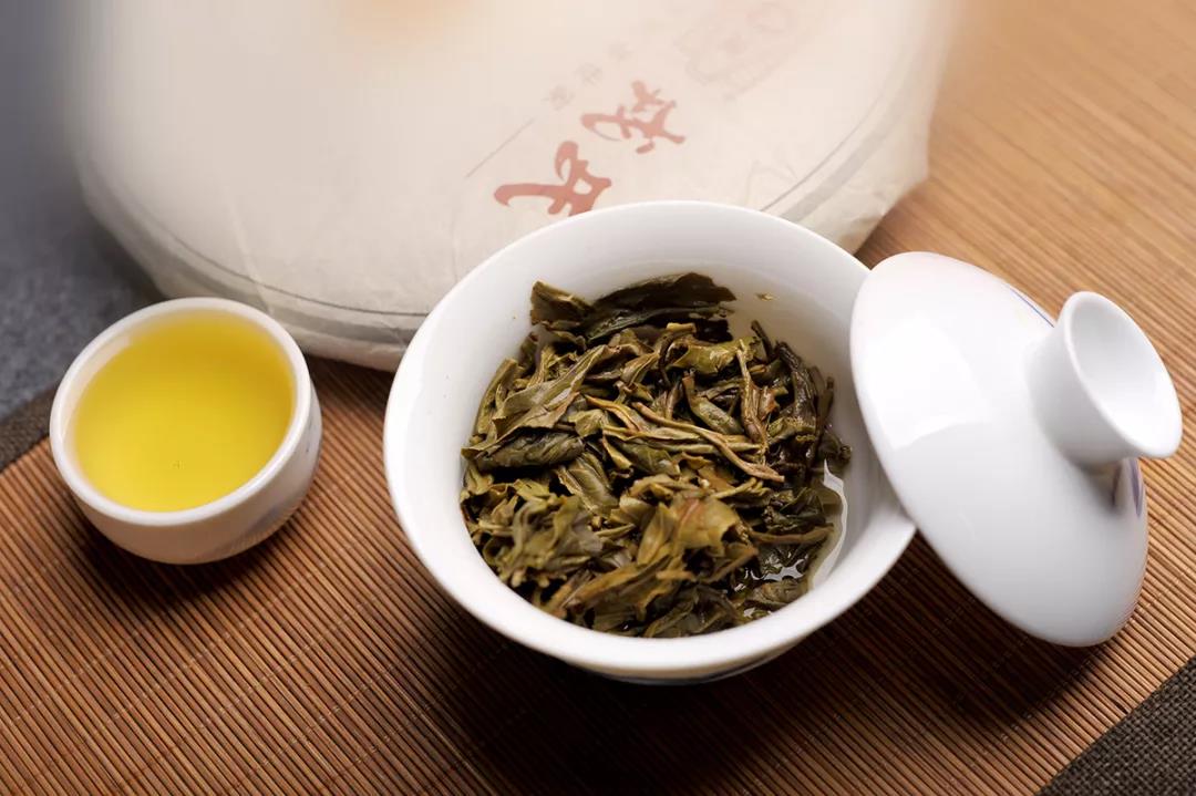 临沧茶王“昔归”的前世今生