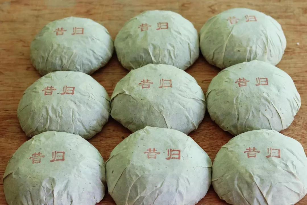 临沧茶王“昔归”的前世今生