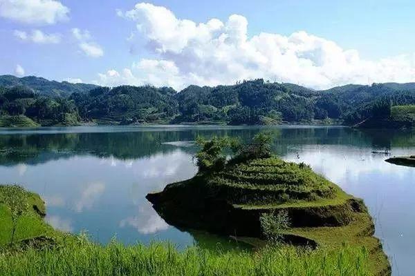 这些美到窒息的茶名，居然是这个意思