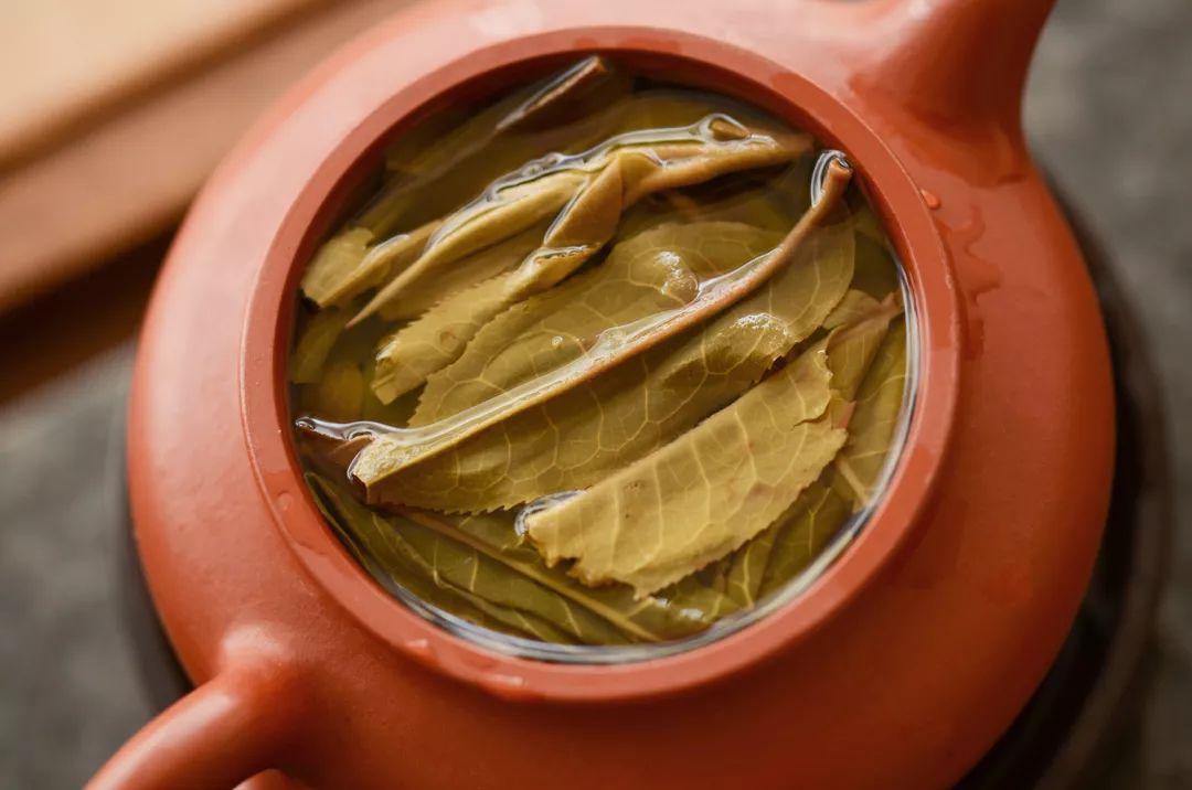 喜欢苦味茶，那一定要喝景迈