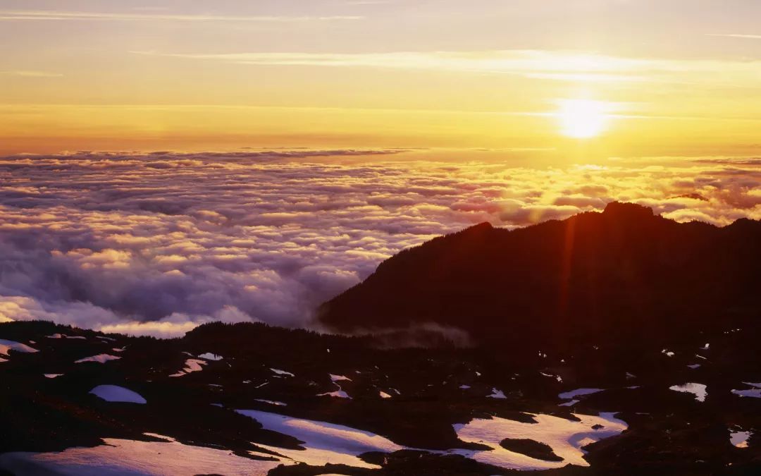 南山日升 南山日升