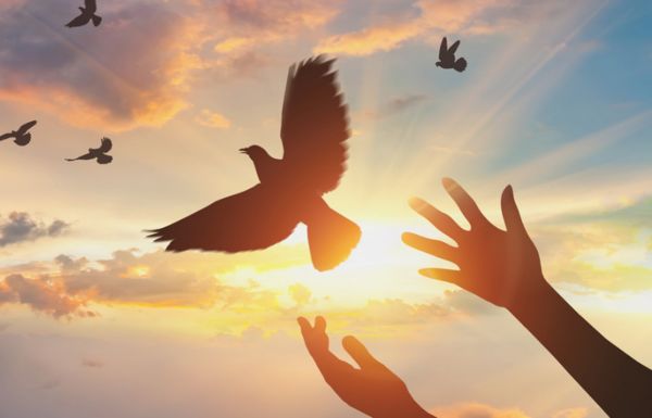 励志图片 励志图片