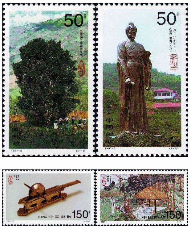 这颗邦威古树，曾改写普洱历史！
