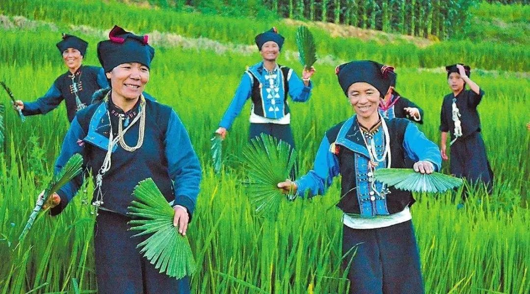 哈尼族人跳棕扇舞