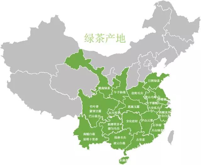 只知道普洱可不行，你喝过云南白茶吗？