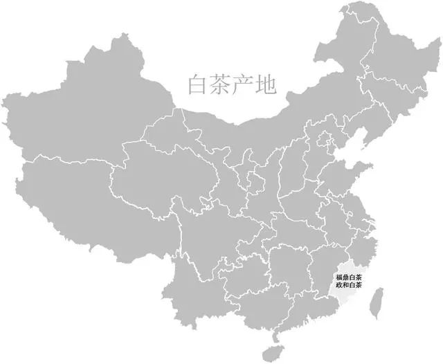 只知道普洱可不行，你喝过云南白茶吗？