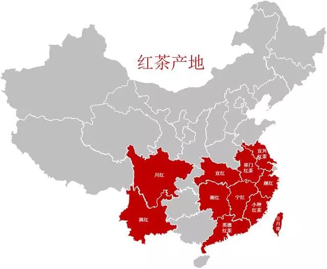 只知道普洱可不行，你喝过云南白茶吗？