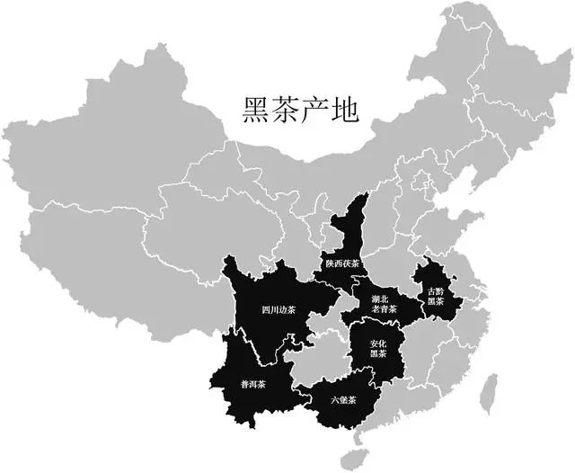 只知道普洱可不行，你喝过云南白茶吗？