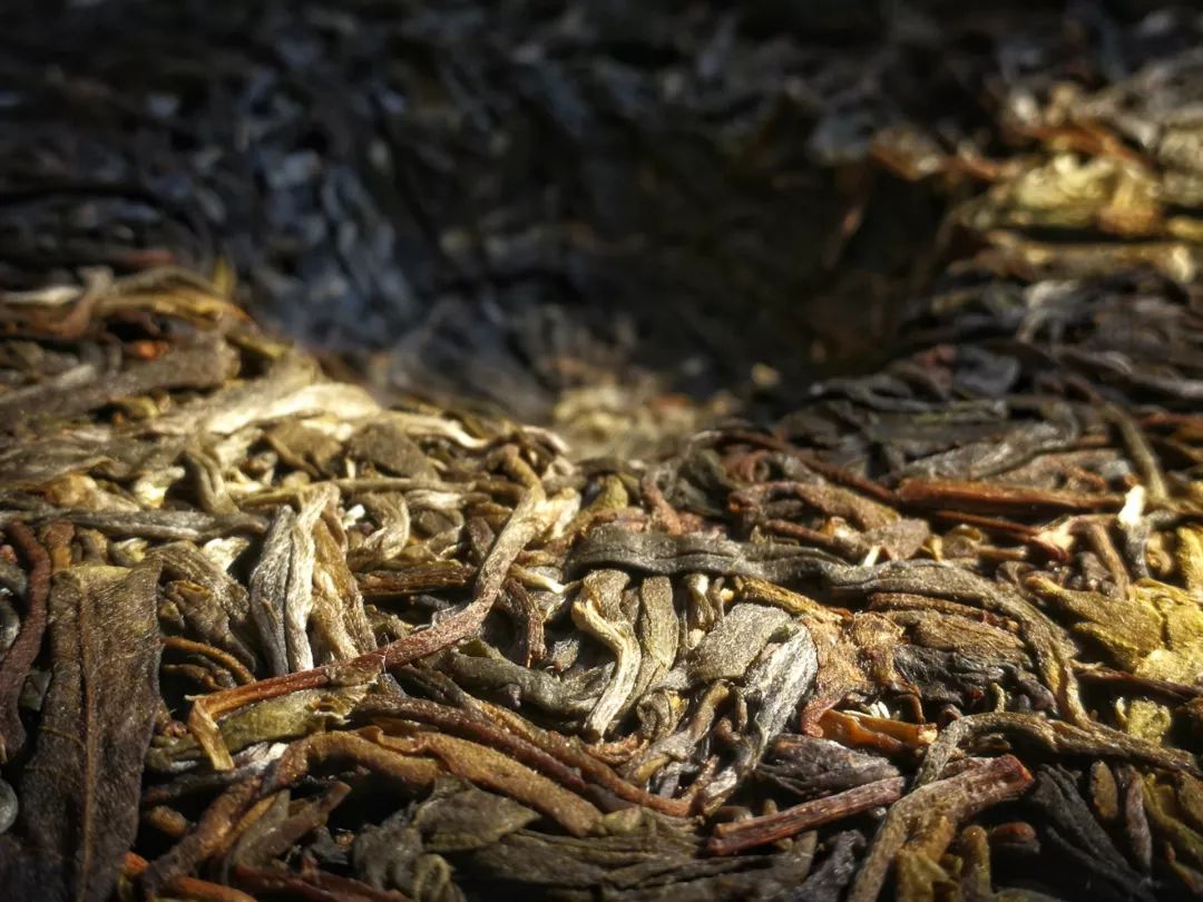 什么是紧压茶？压成大饼会更好喝吗？