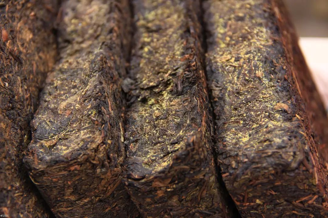什么是紧压茶？压成大饼会更好喝吗？