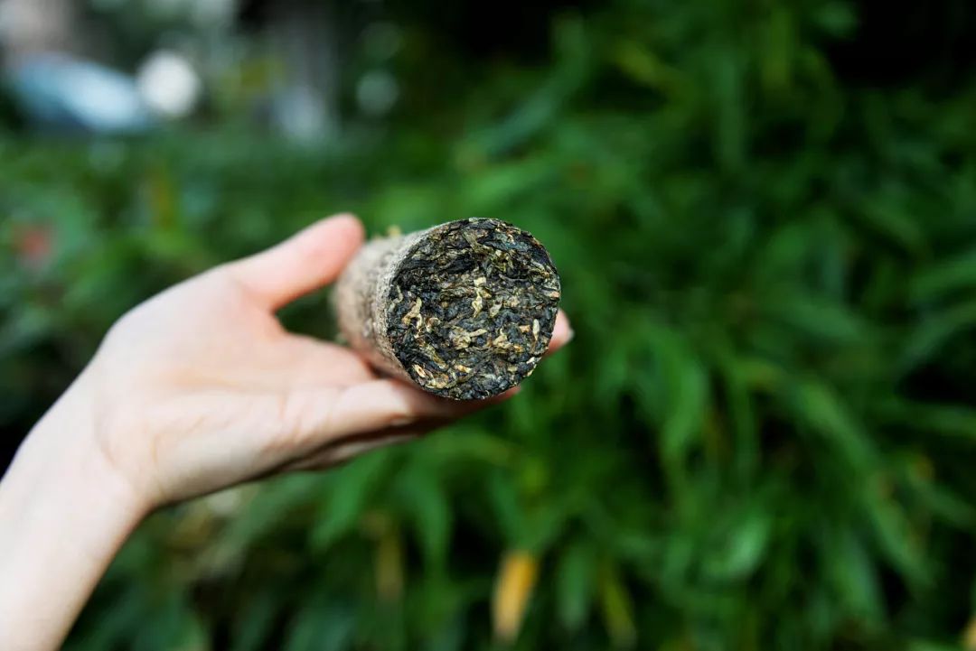 什么是紧压茶？压成大饼会更好喝吗？