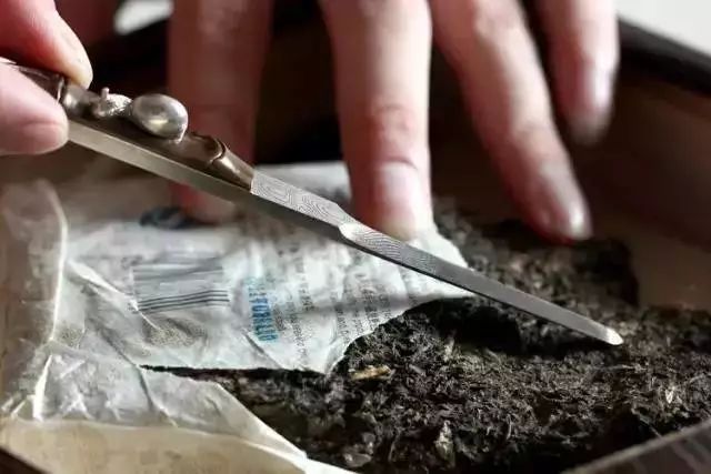 什么是紧压茶？压成大饼会更好喝吗？