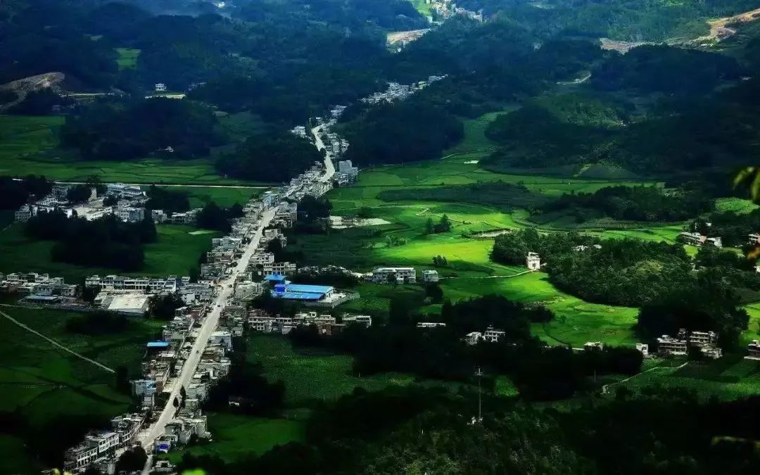 富宁坡芽村