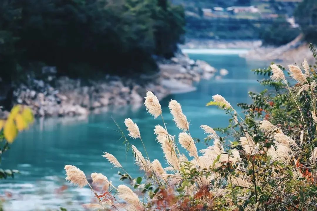 离天堂最近的地方——丙中洛