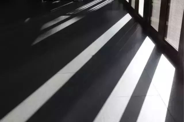 艾维美术馆