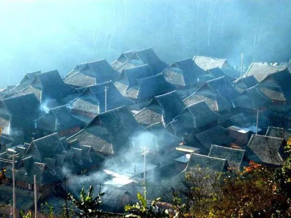 普洱六大古茶山，你知道有哪些吗？