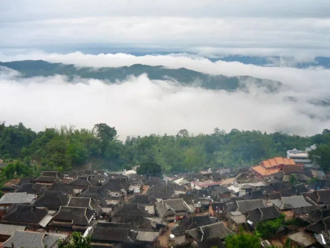 普洱六大古茶山，你知道有哪些吗？