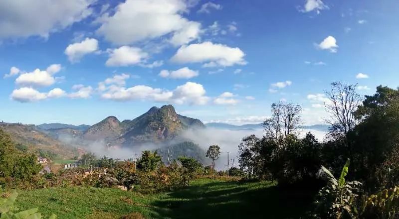 普洱六大古茶山，你知道有哪些吗？