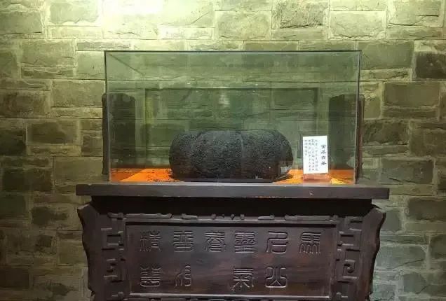 这个瓜价值不菲，一般人吃不起？