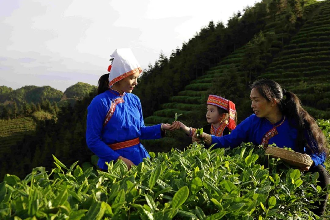 爱茶的你，知道多少关于茶的节日？